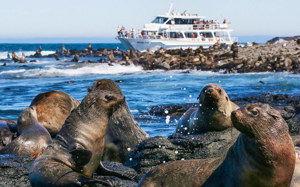 Churchill Island Ticket Price